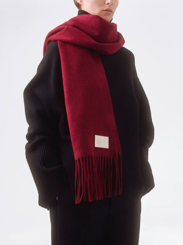 Aeyde béla port cachemire R4DZ2144 accessoire