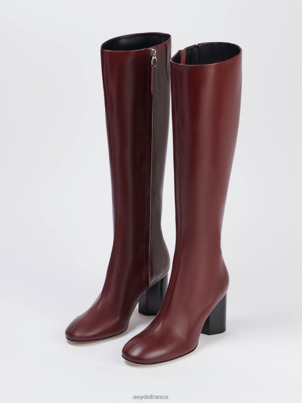 Aeyde ariana port-veau R4DZ288 chaussure